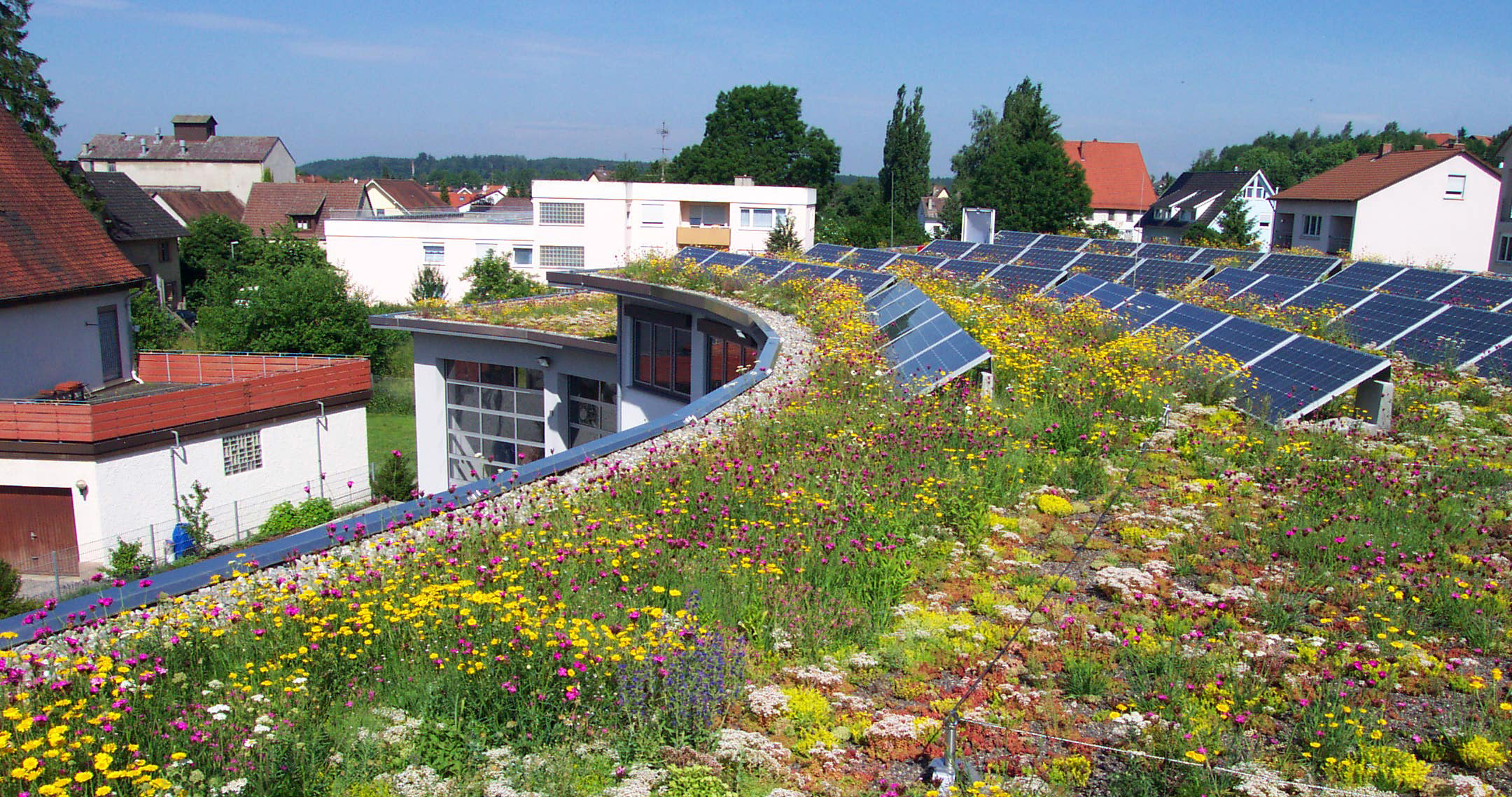 Bild zum Thema Begrünung
