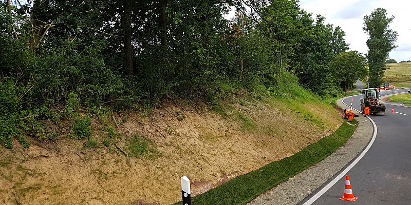 Bild zum Thema Rollrasen / Fertigrasen